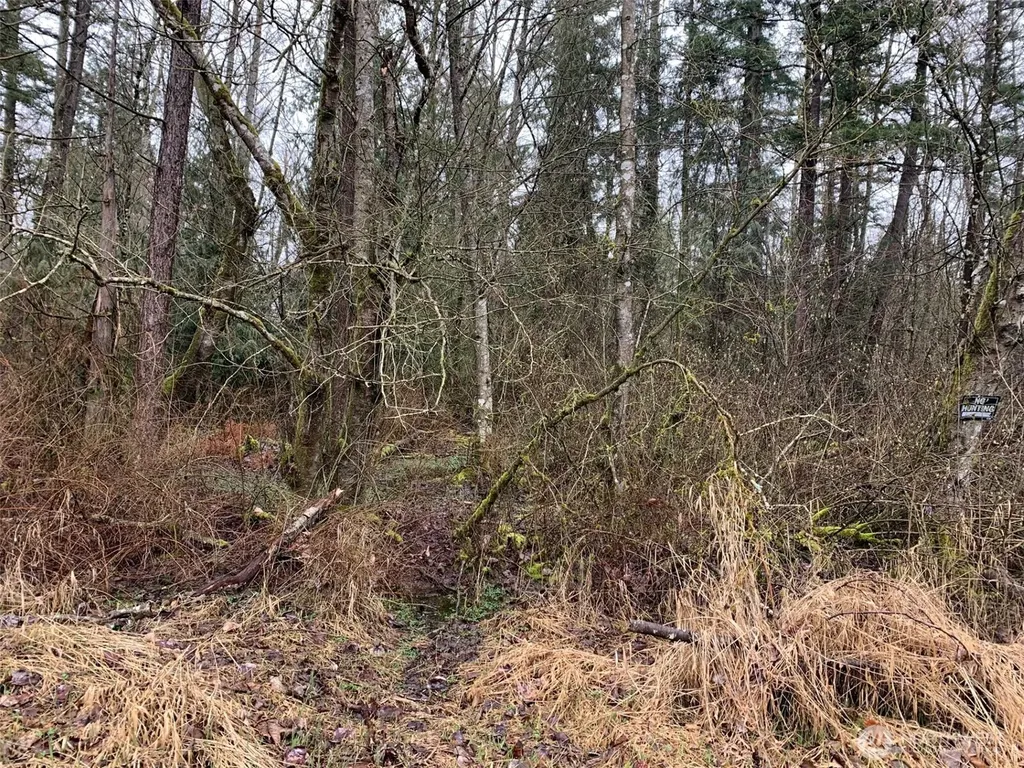 9924 Markworth Road Lynden WA 98264