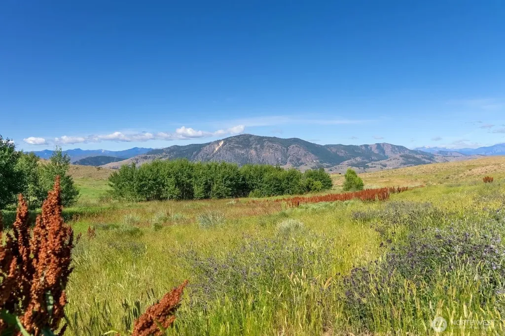 121 Finley Canyon Road Twisp WA 98856