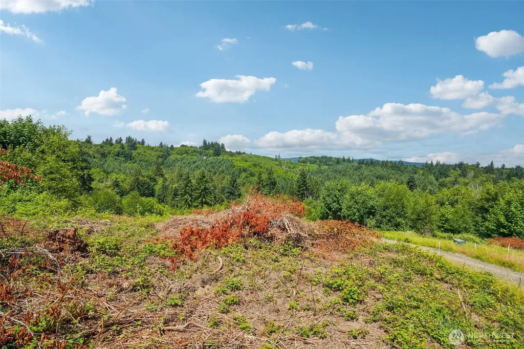 1830 Hazel Dell Road Castle Rock WA 98611
