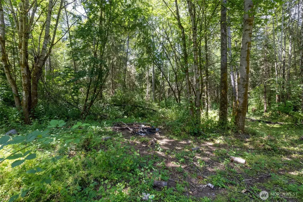 328 16th Avenue S Roy WA 98580