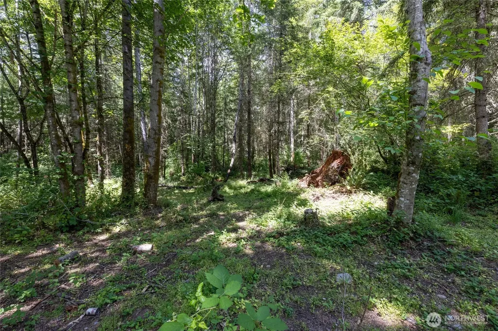 328 16th Avenue S Roy WA 98580
