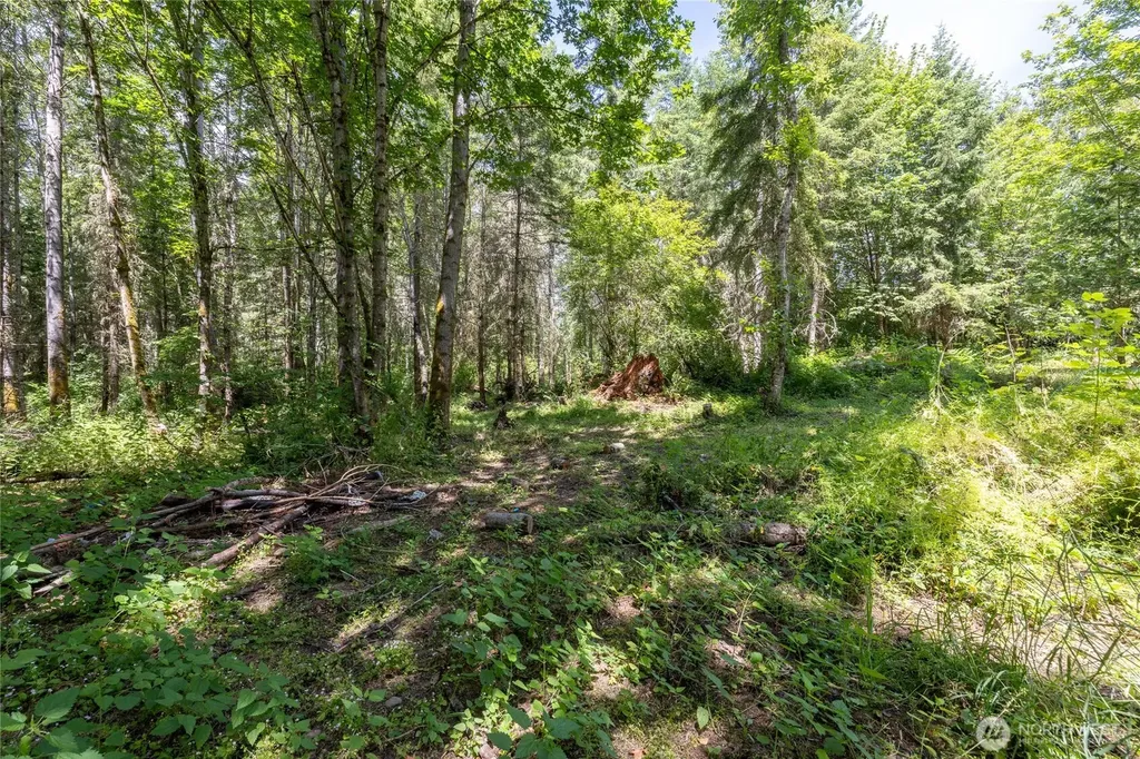 328 16th Avenue S Roy WA 98580