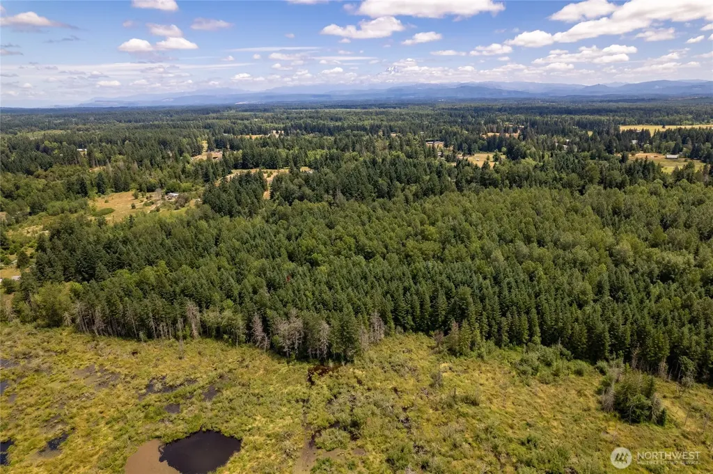 328 16th Avenue S Roy WA 98580