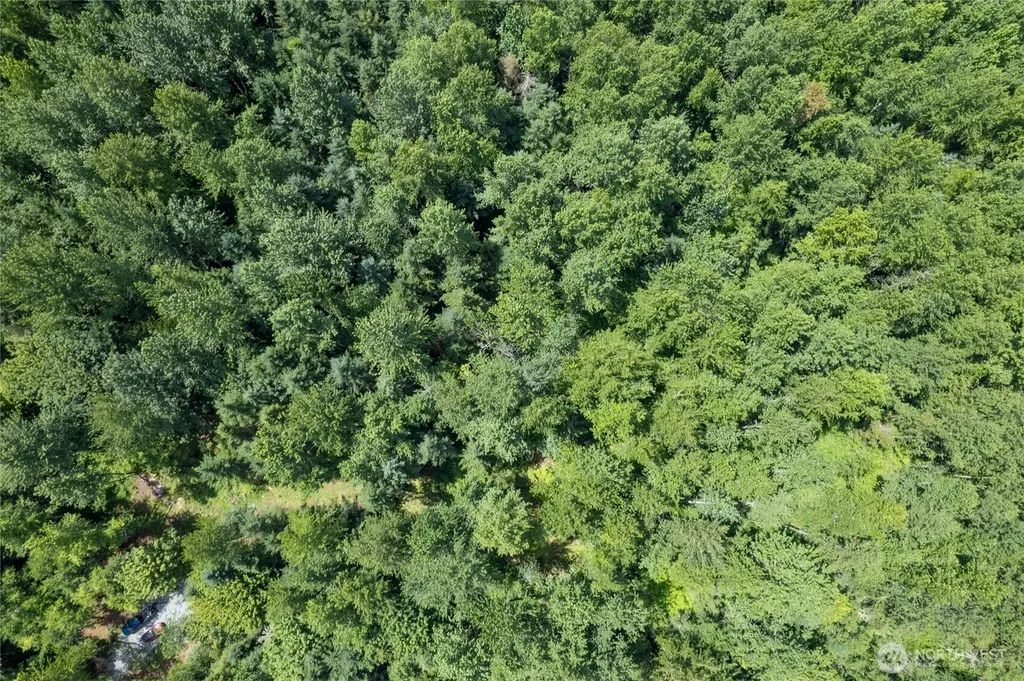 328 16th Avenue S Roy WA 98580