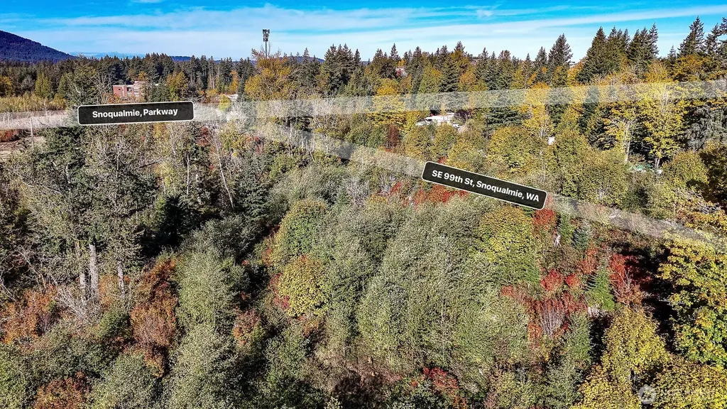 34700 SE 99th Street Snoqualmie WA 98065