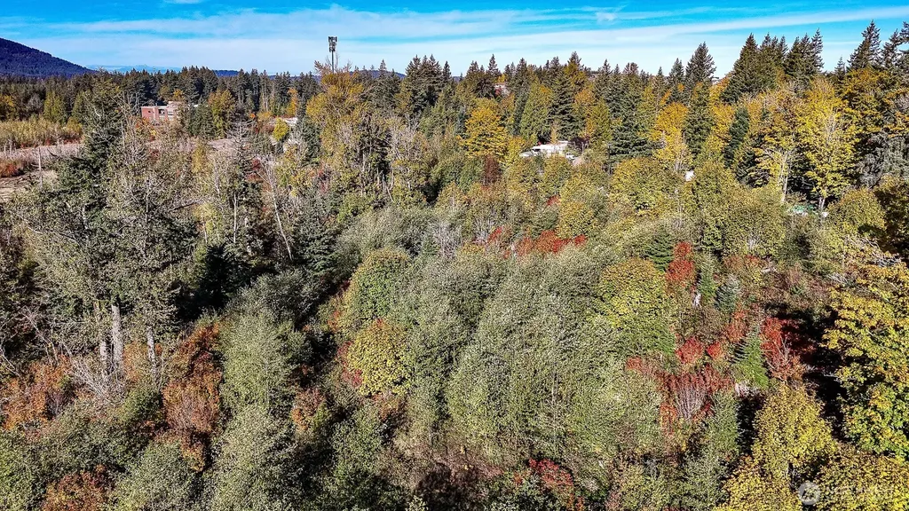 34700 SE 99th Street Snoqualmie WA 98065
