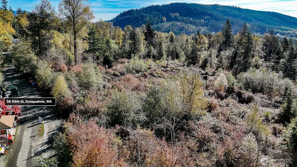 34700 SE 99th Street Snoqualmie WA 98065