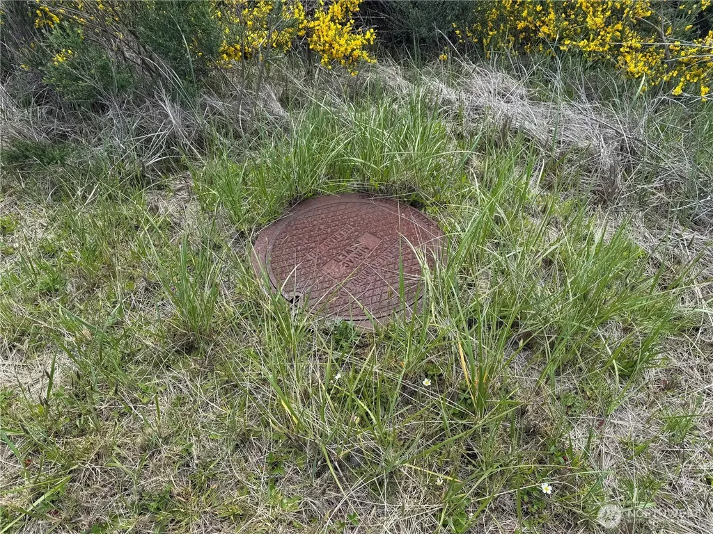 421 S Portal Loop SW Ocean Shores WA 98569
