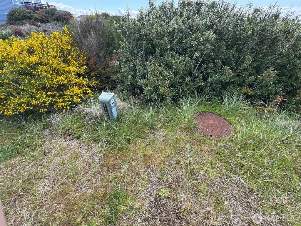 421 S Portal Loop SW Ocean Shores WA 98569