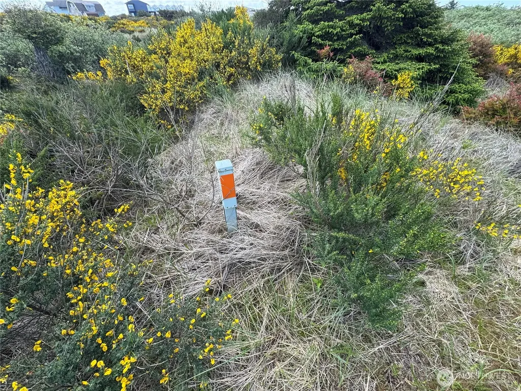 421 S Portal Loop SW Ocean Shores WA 98569