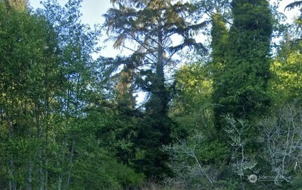0 Cosgrove Street Hoquiam WA 98550
