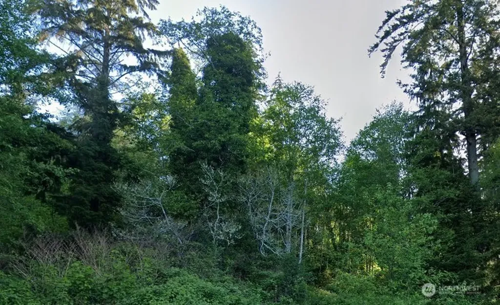 0 Cosgrove Street Hoquiam WA 98550