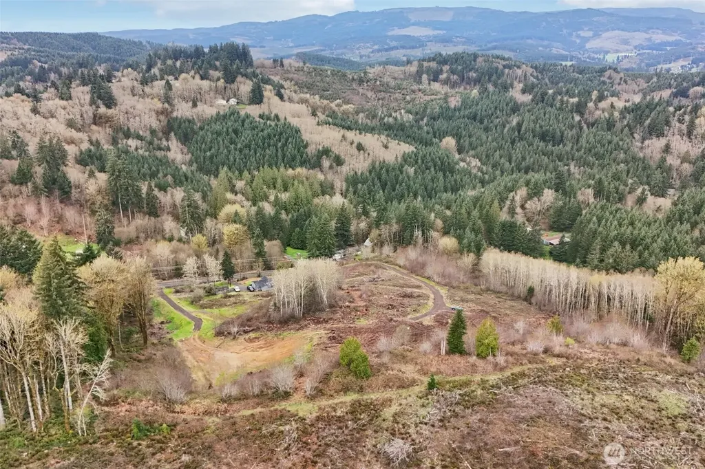 1854 Hazel Dell Road Castle Rock WA 98611