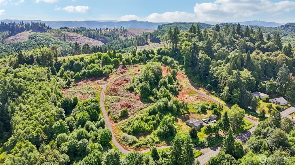 1854 Hazel Dell Road Castle Rock WA 98611