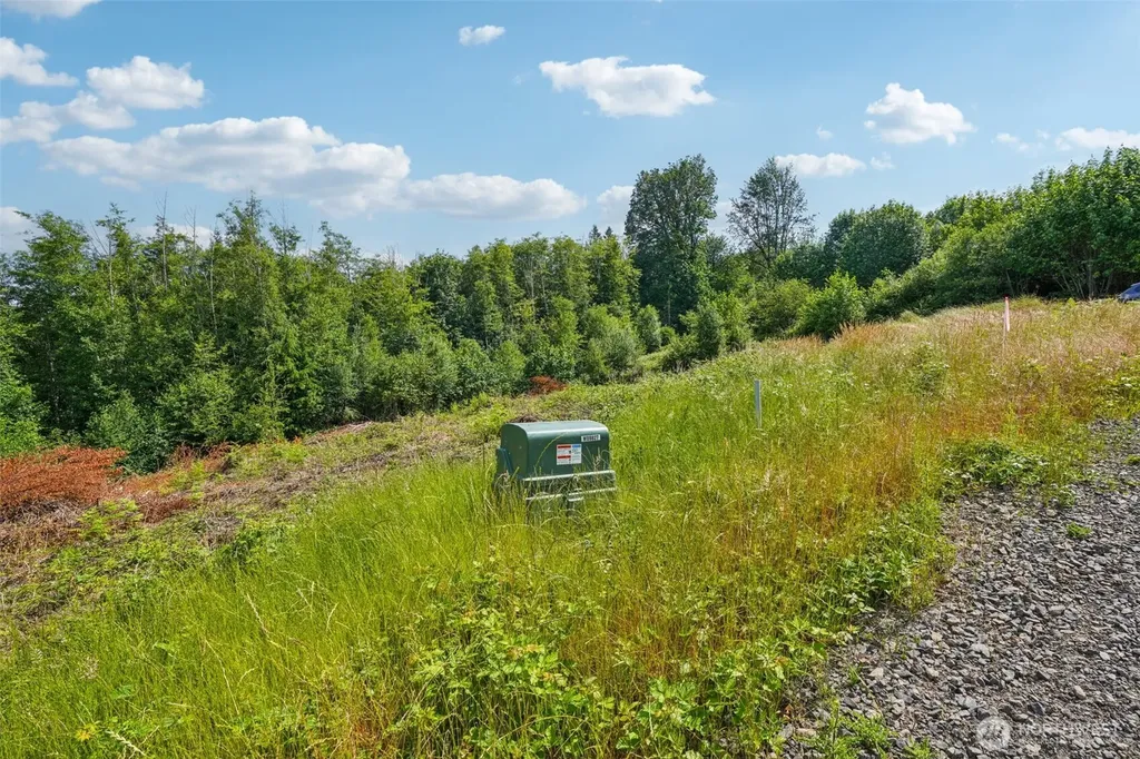 1854 Hazel Dell Road Castle Rock WA 98611