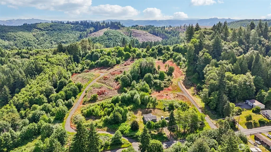 1854 Hazel Dell Road Castle Rock WA 98611