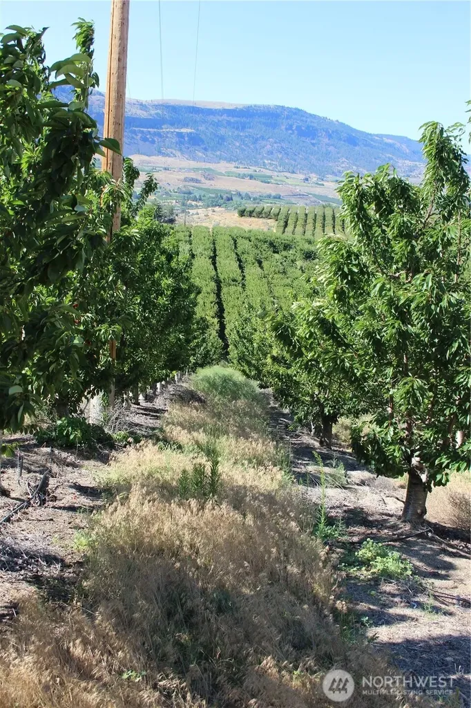 0 Leray Ranch Road East Wenatchee WA 98802