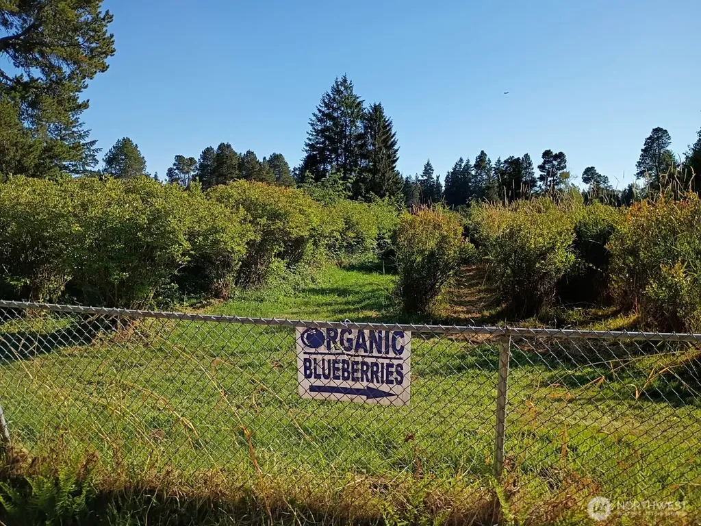 30431 38th Avenue S Auburn WA 98001