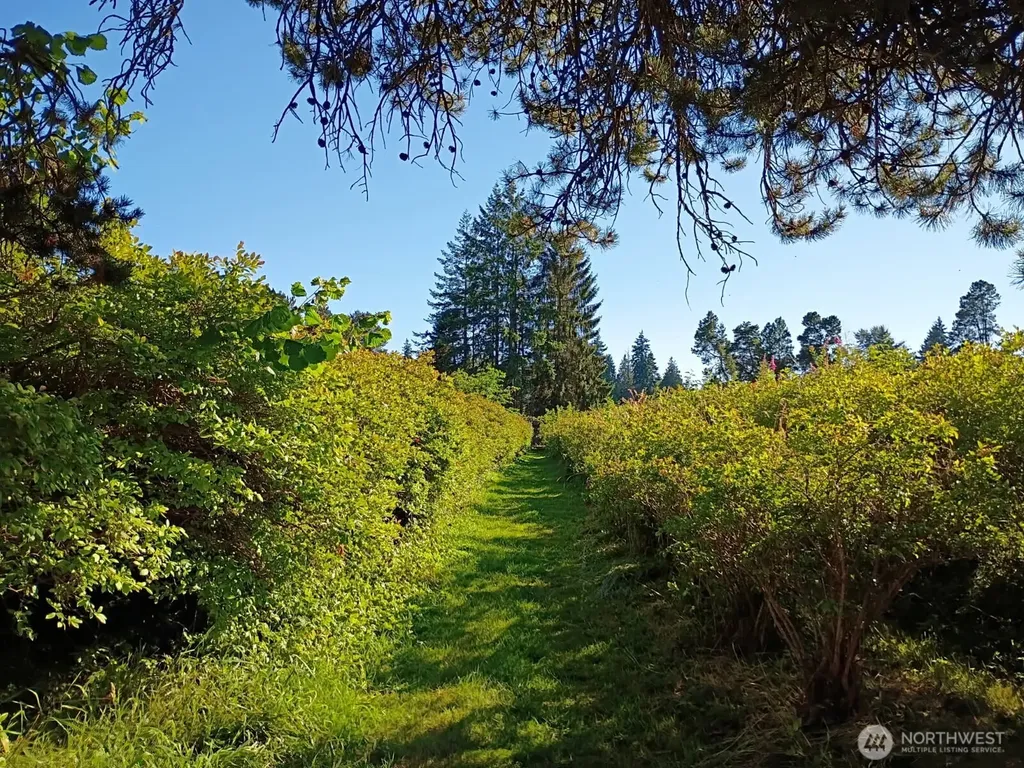 30431 38th Avenue S Auburn WA 98001