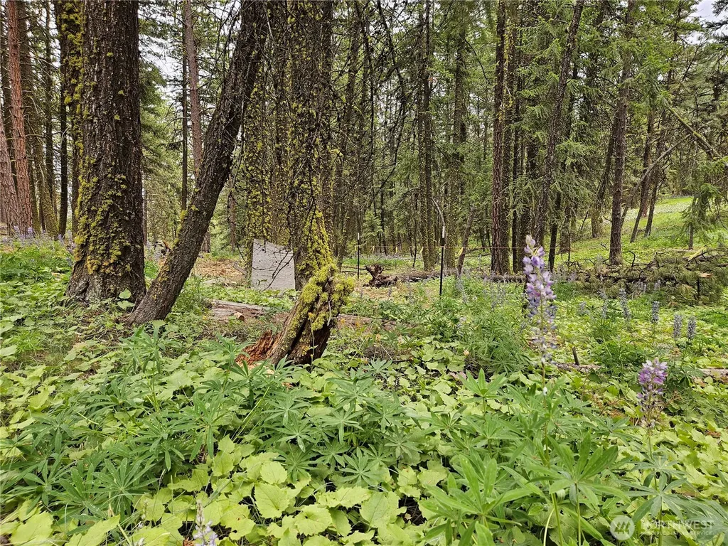 0 Muledeer Road East Wenatchee WA 98802