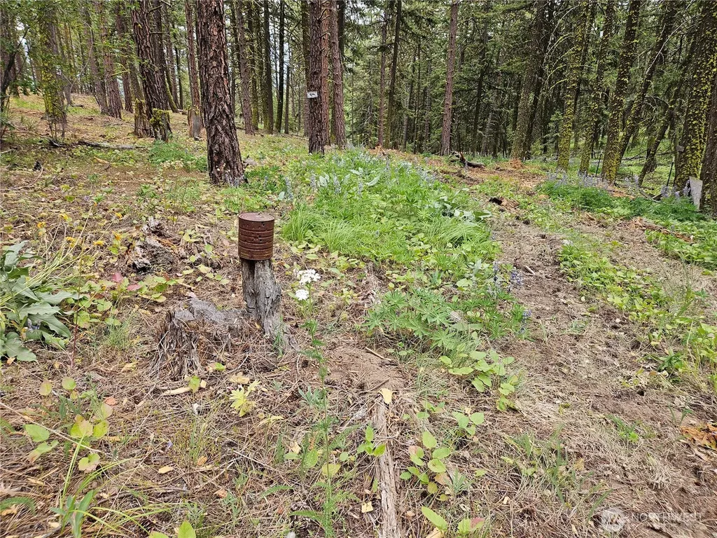 0 Muledeer Road East Wenatchee WA 98802