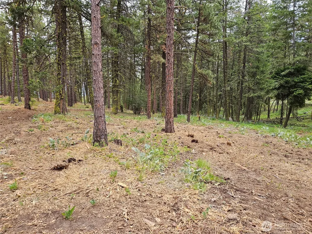 0 Muledeer Road East Wenatchee WA 98802
