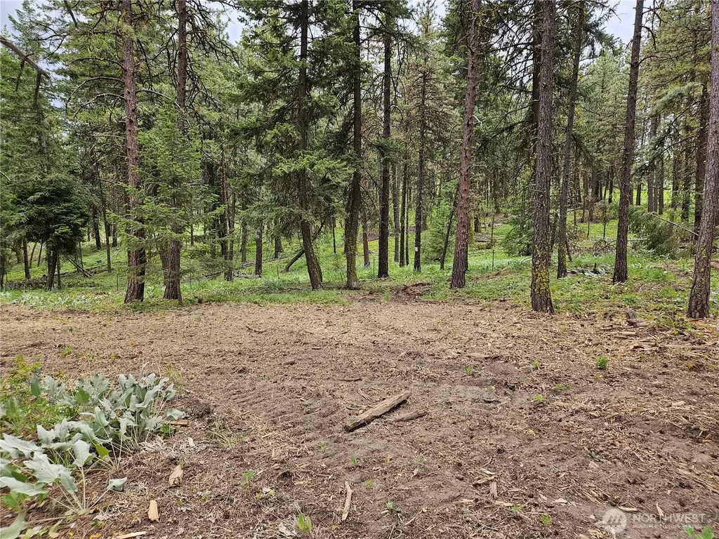 0 Muledeer Road East Wenatchee WA 98802