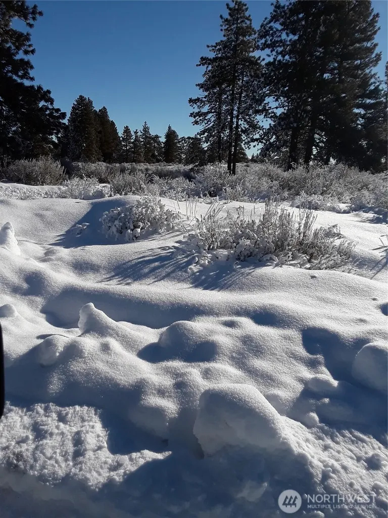 0 Muledeer Road East Wenatchee WA 98802