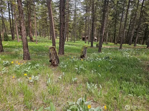 0 Muledeer Road East Wenatchee WA 98802
