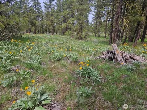 0 Muledeer Road East Wenatchee WA 98802