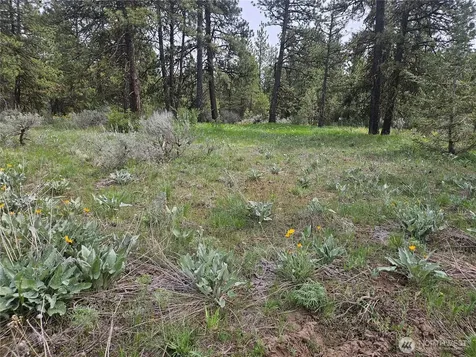 0 Muledeer Road East Wenatchee WA 98802