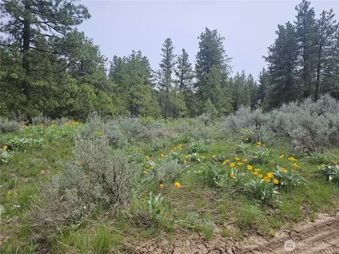 0 Muledeer Road East Wenatchee WA 98802