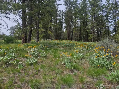 0 Muledeer Road East Wenatchee WA 98802
