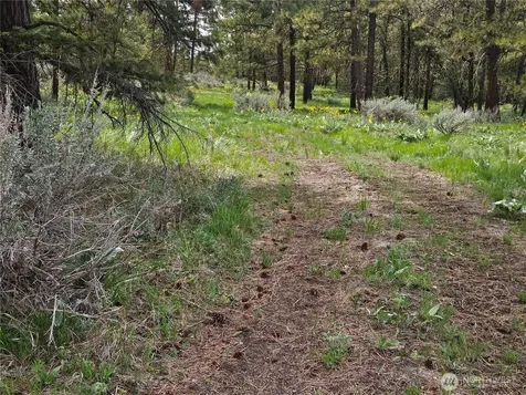 0 Muledeer Road East Wenatchee WA 98802