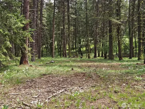 0 Muledeer Road East Wenatchee WA 98802