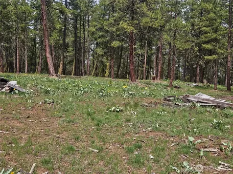 0 Muledeer Road East Wenatchee WA 98802