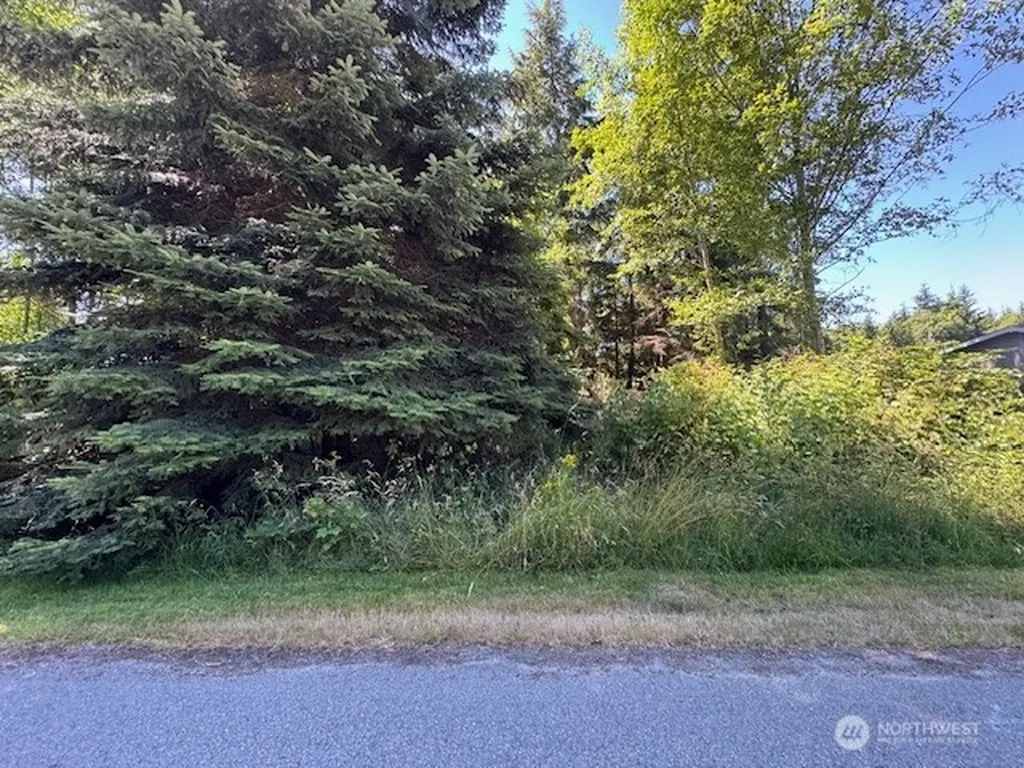 42 E Sycamore Drive Coupeville WA 98239