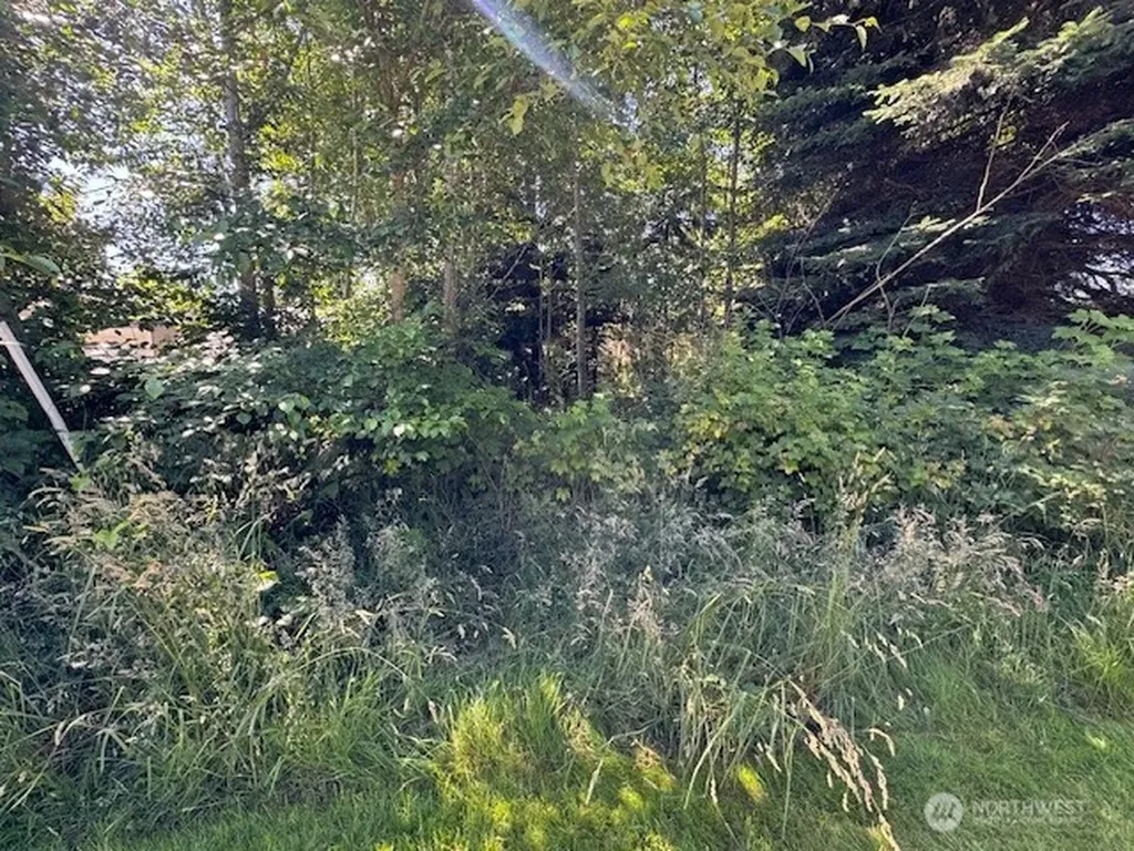 43 E Sycamore Road Coupeville WA 98239