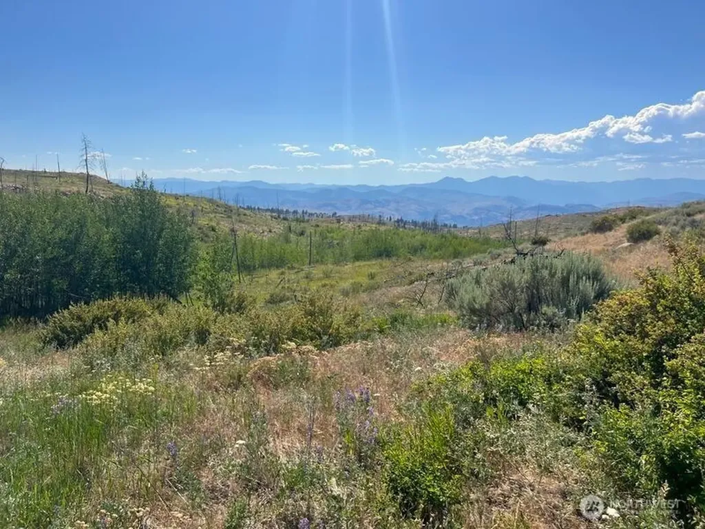 0 Lone Spur Road Oroville WA 98844