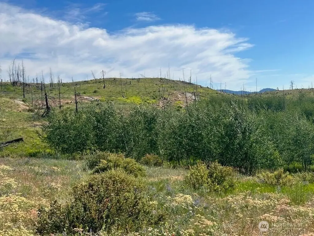 0 Lone Spur Road Oroville WA 98844