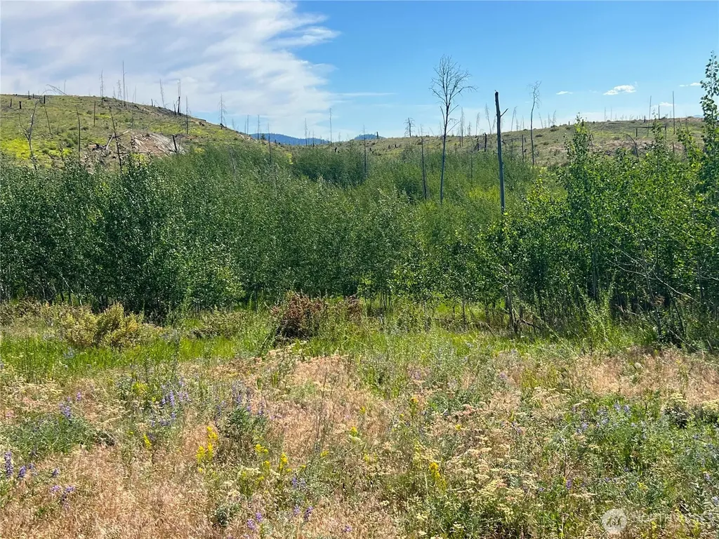0 Lone Spur Road Oroville WA 98844