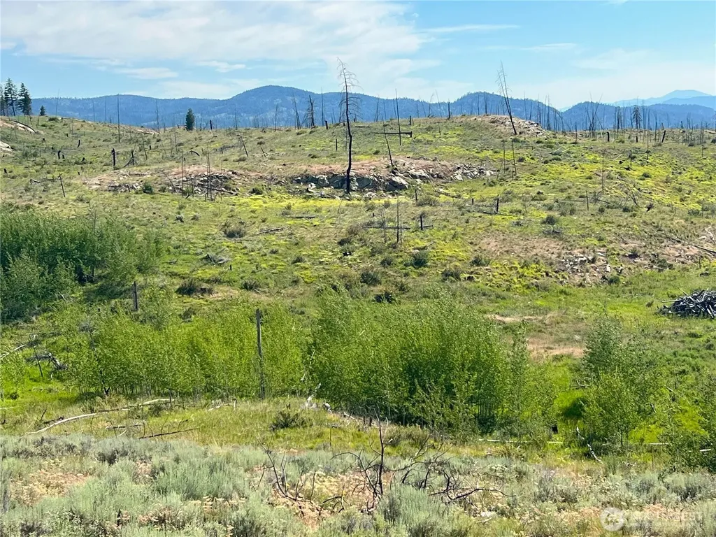 0 Lone Spur Road Oroville WA 98844