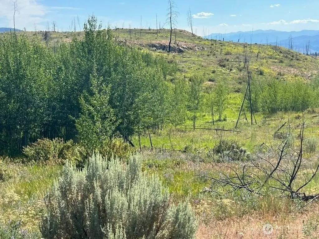 0 Lone Spur Road Oroville WA 98844