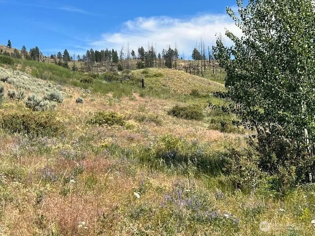 0 Lone Spur Road Oroville WA 98844