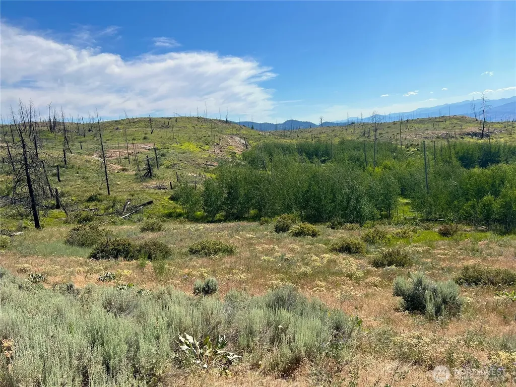 0 Lone Spur Road Oroville WA 98844