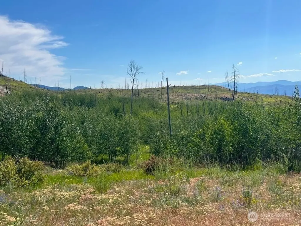 0 Lone Spur Road Oroville WA 98844