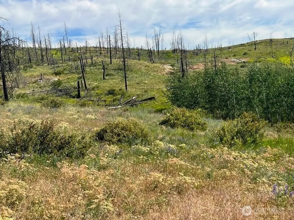 0 Lone Spur Road Oroville WA 98844