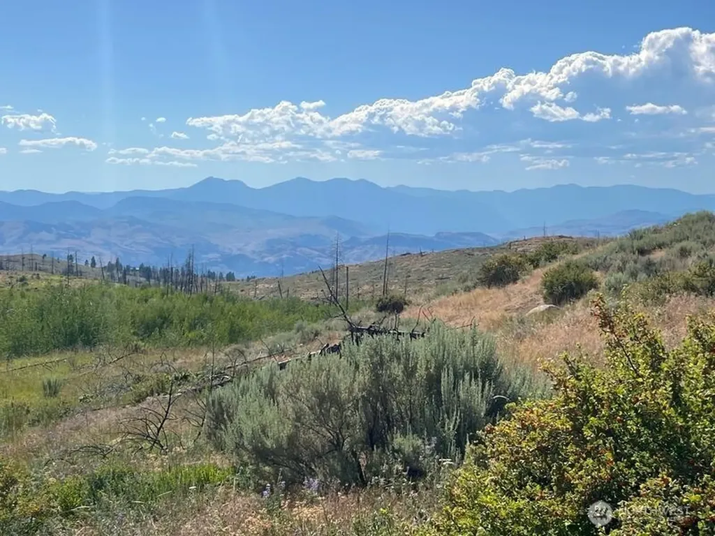 0 Lone Spur Road Oroville WA 98844