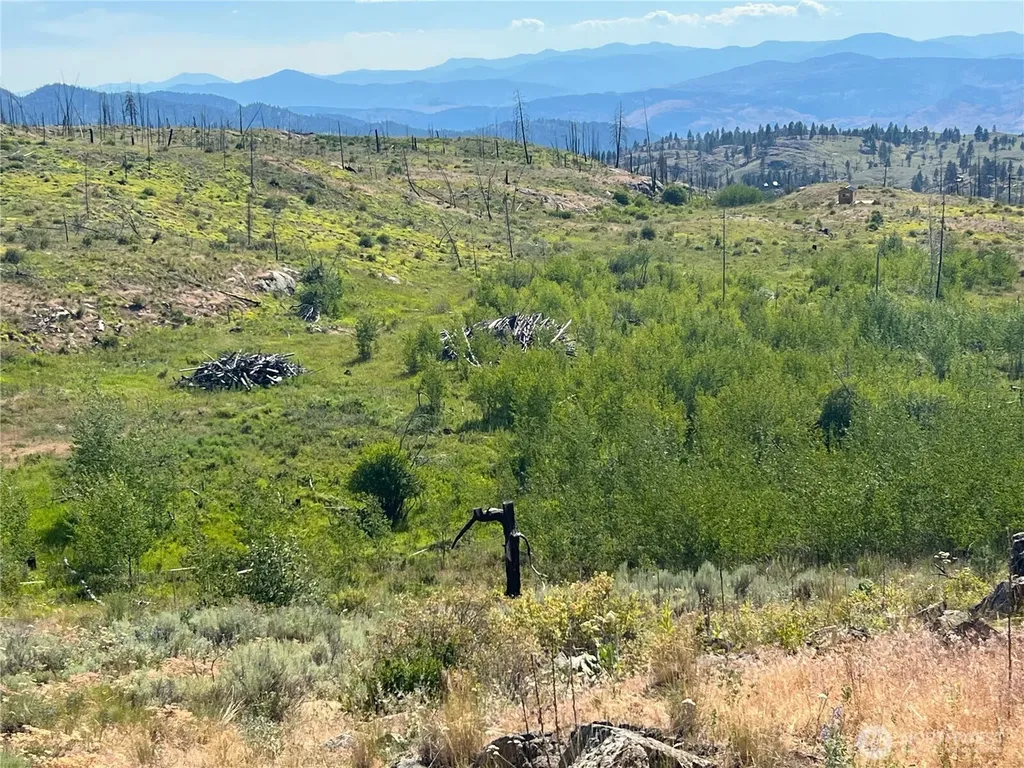 0 Lone Spur Road Oroville WA 98844
