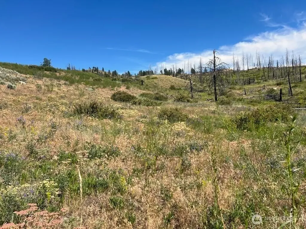 0 Lone Spur Road Oroville WA 98844